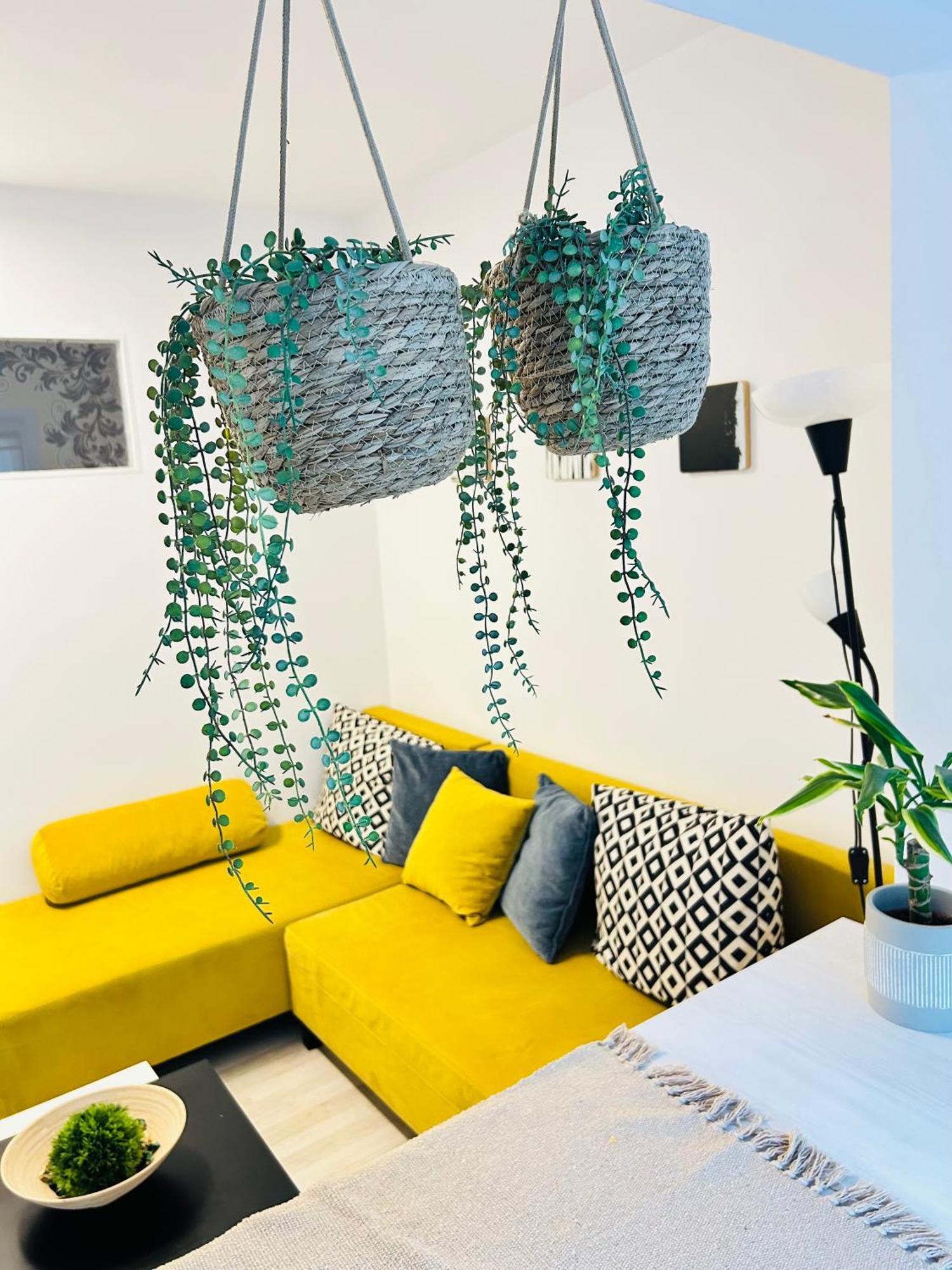 Alisz Apartments Timisoara Luaran gambar