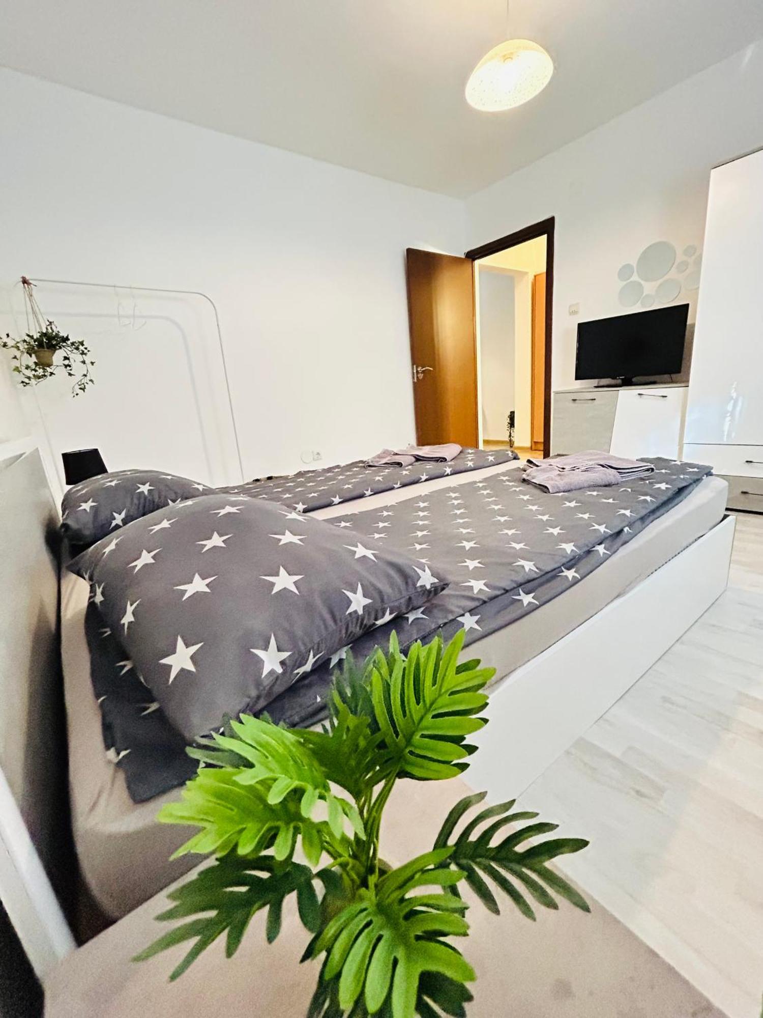 Alisz Apartments Timisoara Luaran gambar